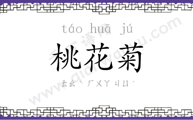 桃花菊