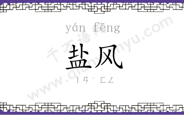 盐风