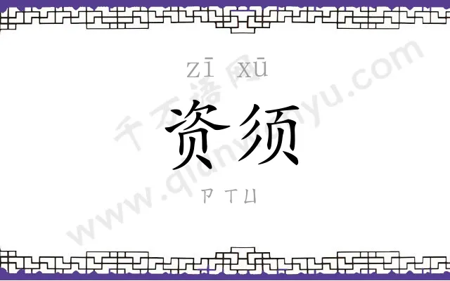 资须