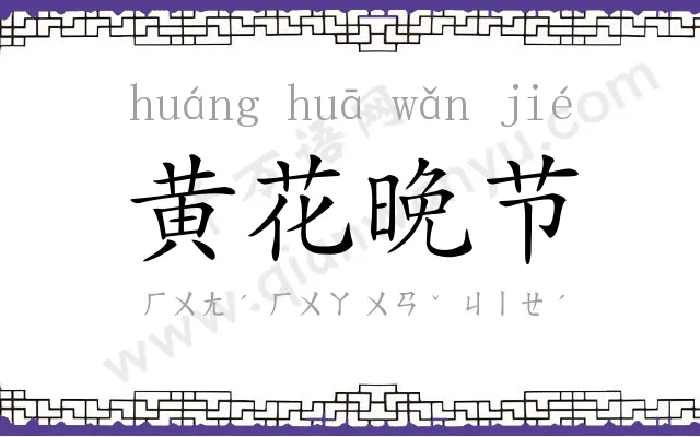 黄花晚节
