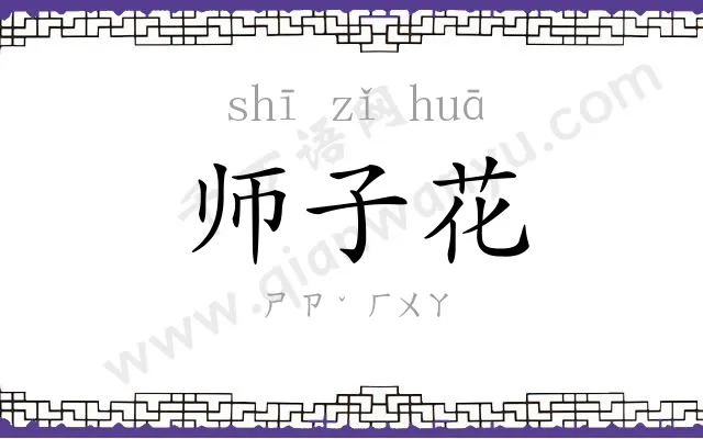 师子花