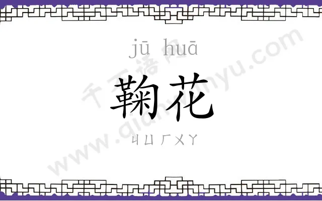 鞠花