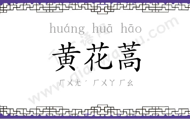 黄花蒿