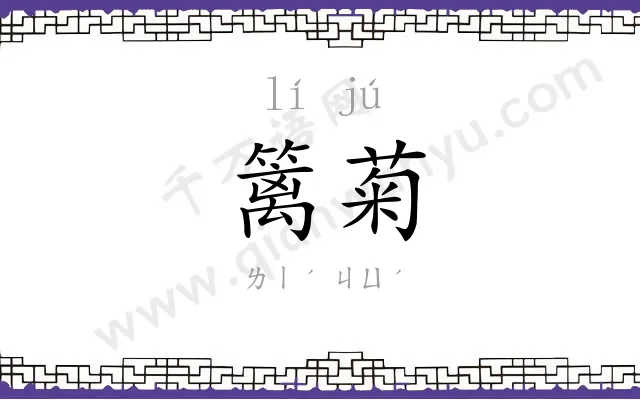 篱菊