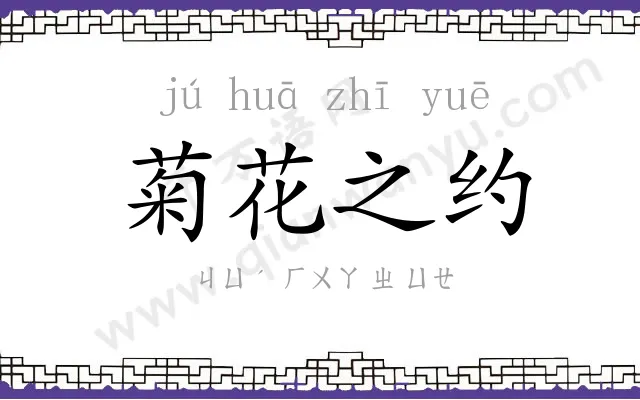 菊花之约