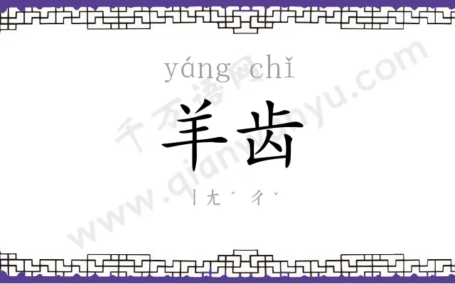 羊齿