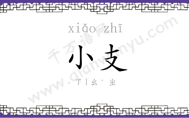 小支