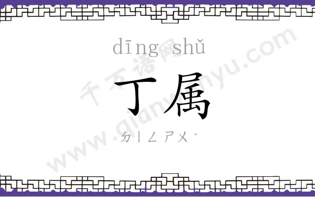丁属