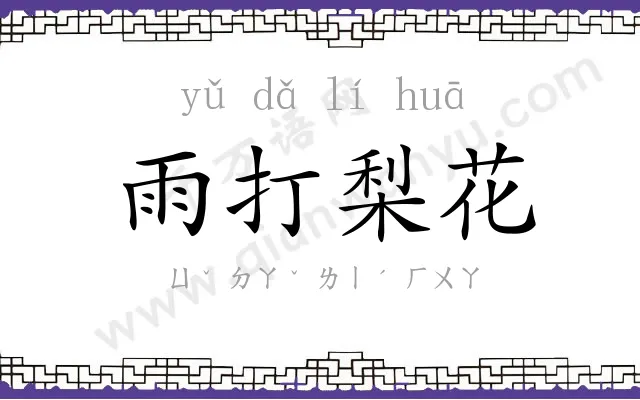 雨打梨花
