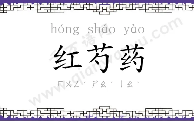红芍药