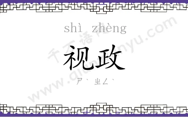 视政
