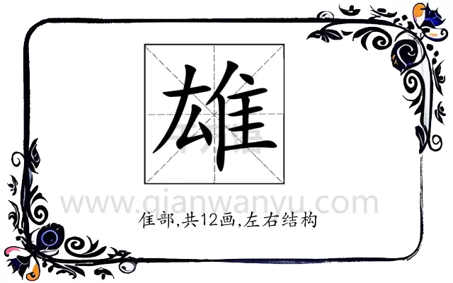 雄