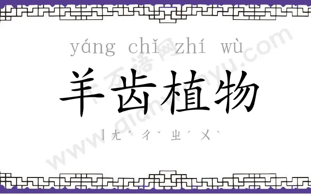 羊齿植物