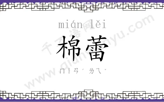 棉蕾
