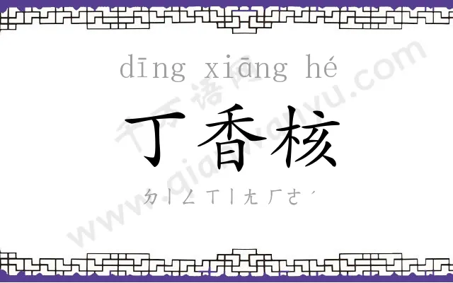 丁香核