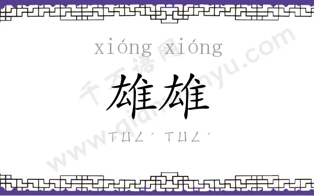 雄雄