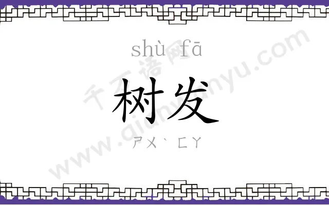 树发