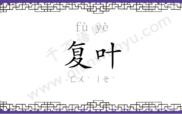复叶
