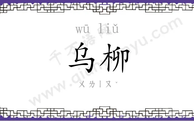 乌柳