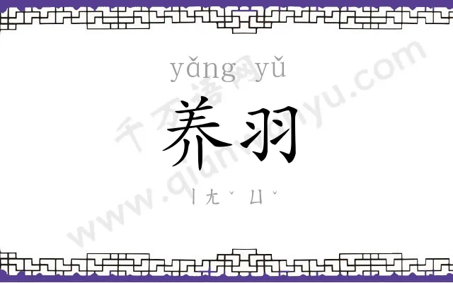 养羽