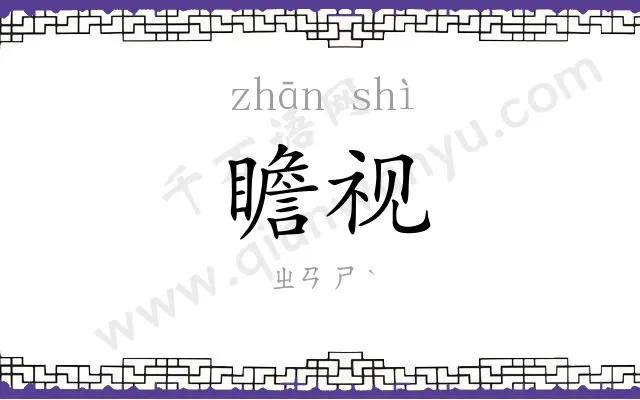 瞻视