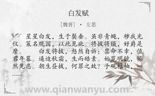 《白发赋》作者是魏晋的左思.本诗词属于寓理;讽刺类诗词.诗词全文约共398字.