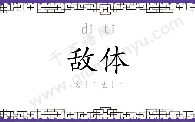 敌体