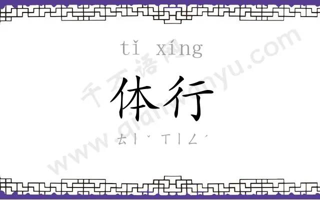体行