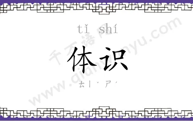 体识