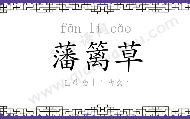 藩篱草