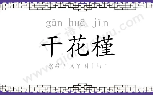 干花槿