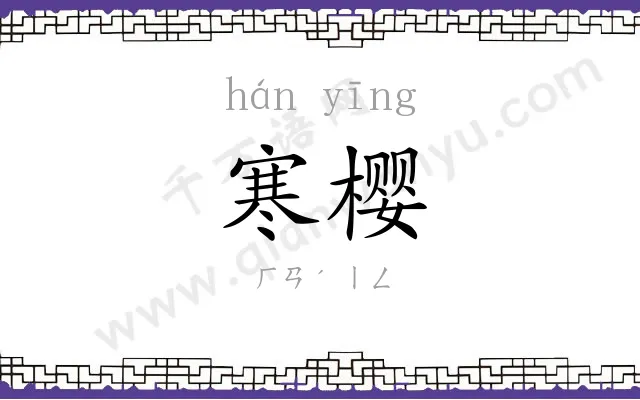 寒樱
