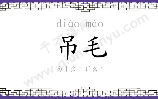 吊毛