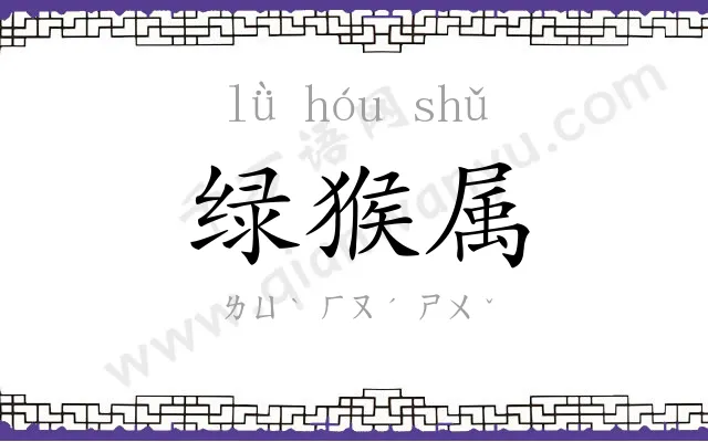 绿猴属