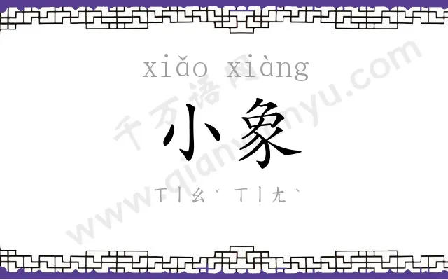 小象