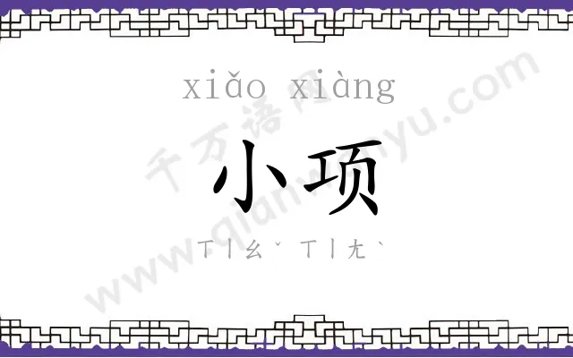 小项
