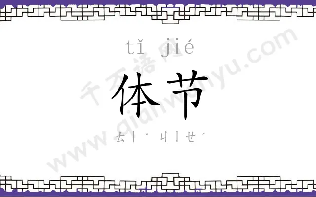 体节