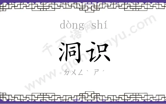 洞识