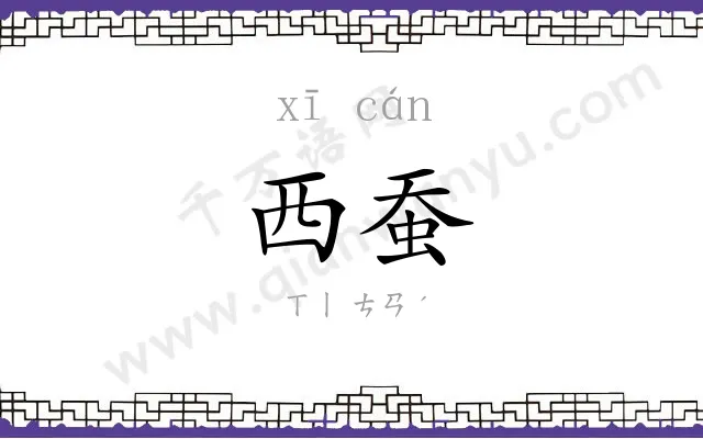 西蚕