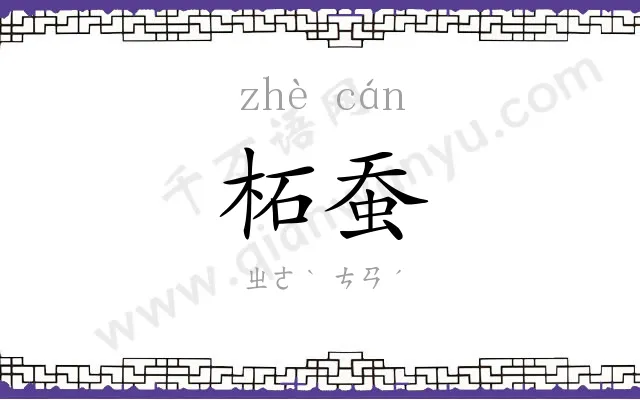 柘蚕