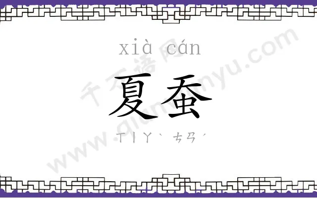 夏蚕