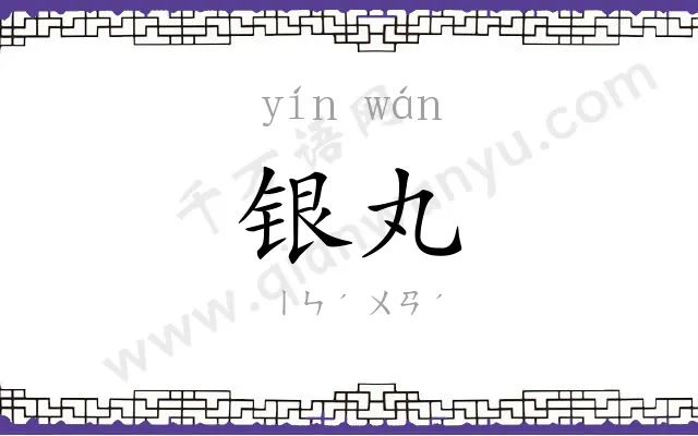 银丸