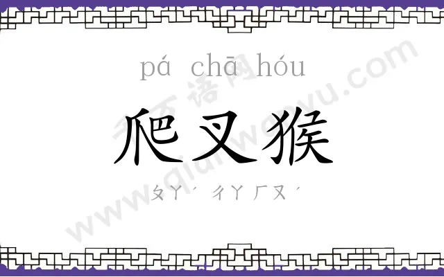 爬叉猴