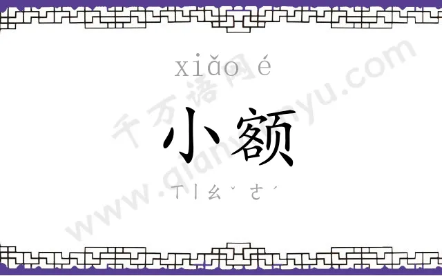 小额