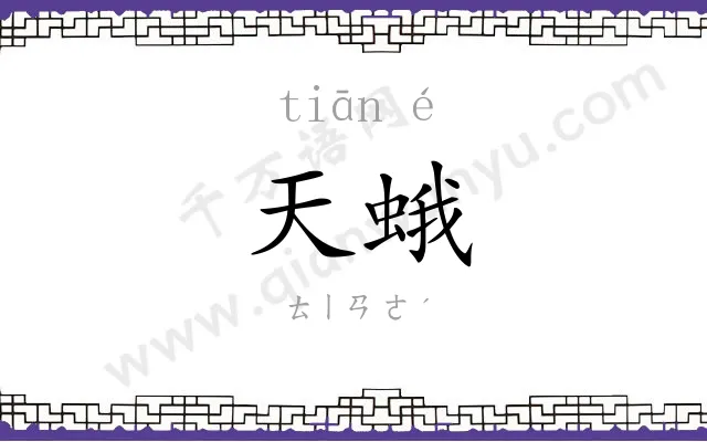 天蛾