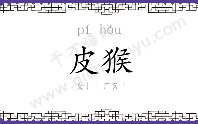 皮猴