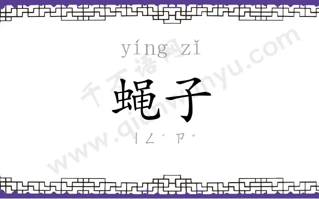 蝇子