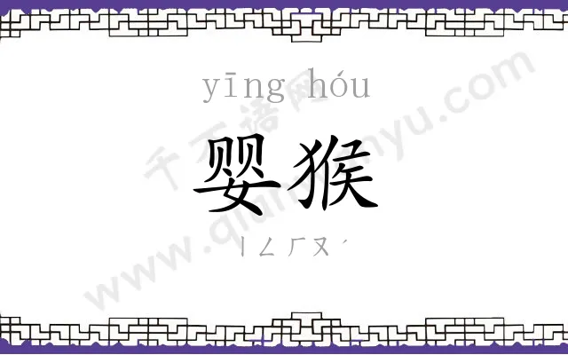婴猴