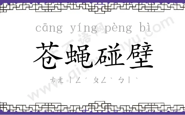 苍蝇碰壁