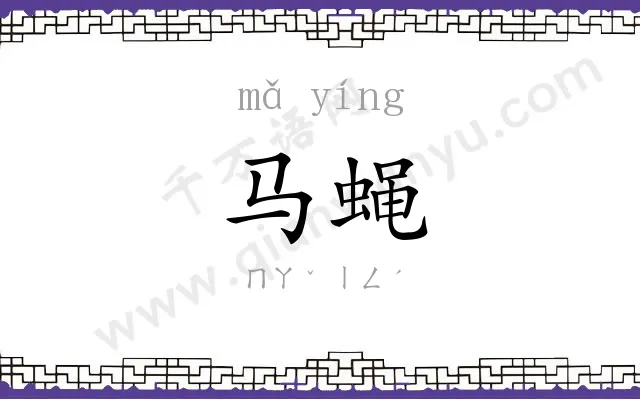 马蝇